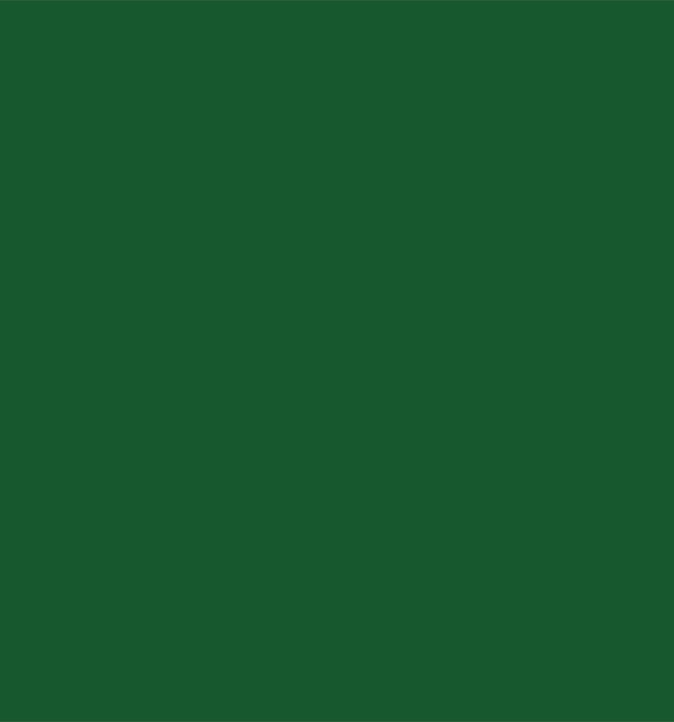 Patrick Henry profile