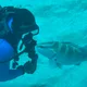 ScubaMan profile