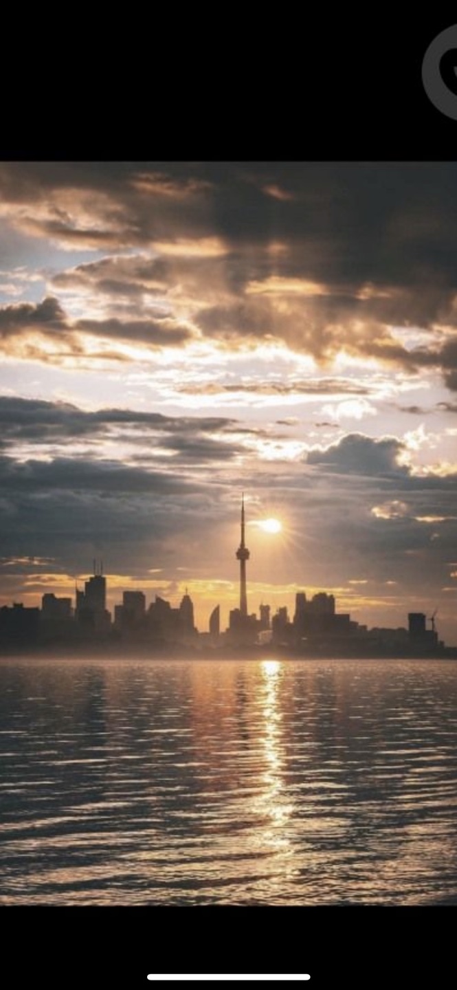 Bella Maroon profile