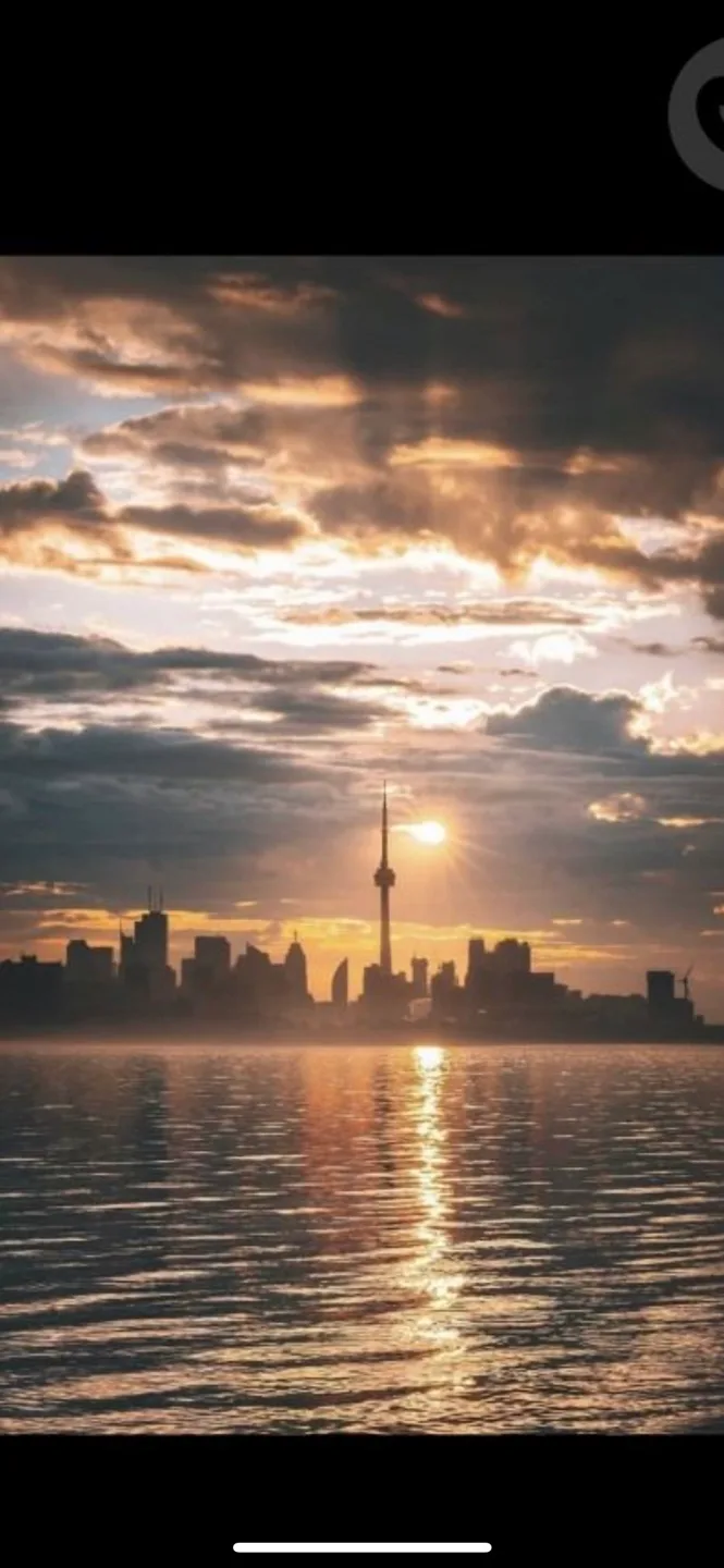 Bella Maroon profile