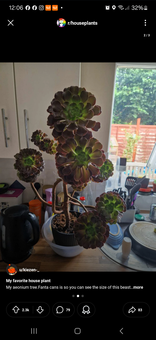 yuaplayahata69 profile