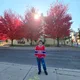 Chris Lo profile