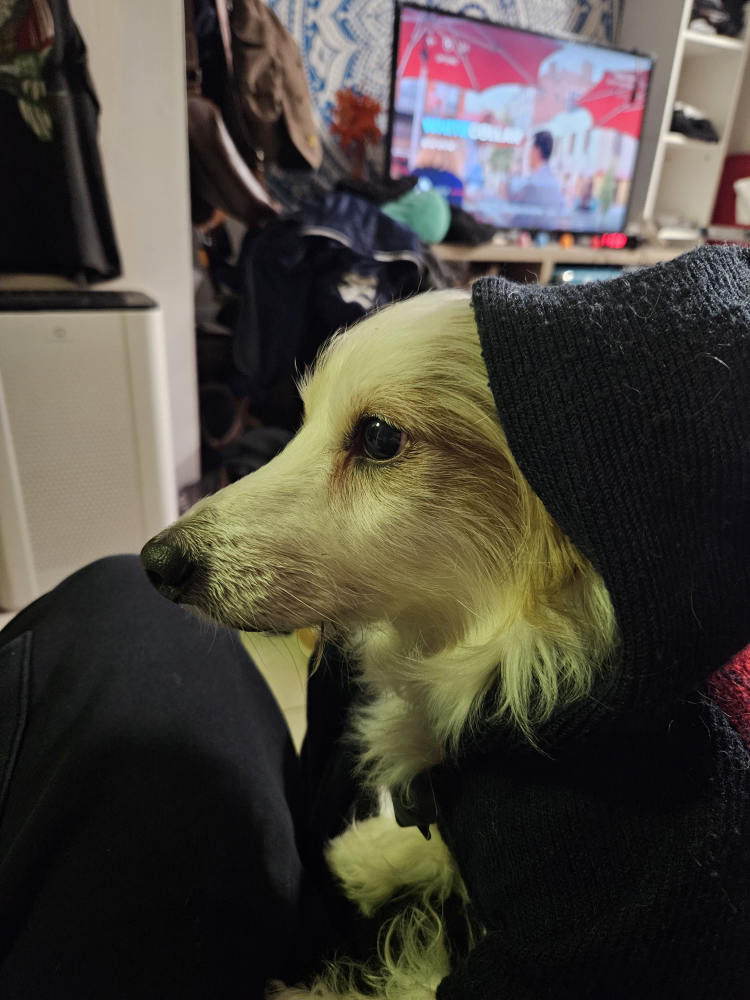 barry profile