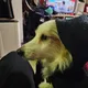 barry profile
