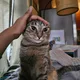 Rahima profile