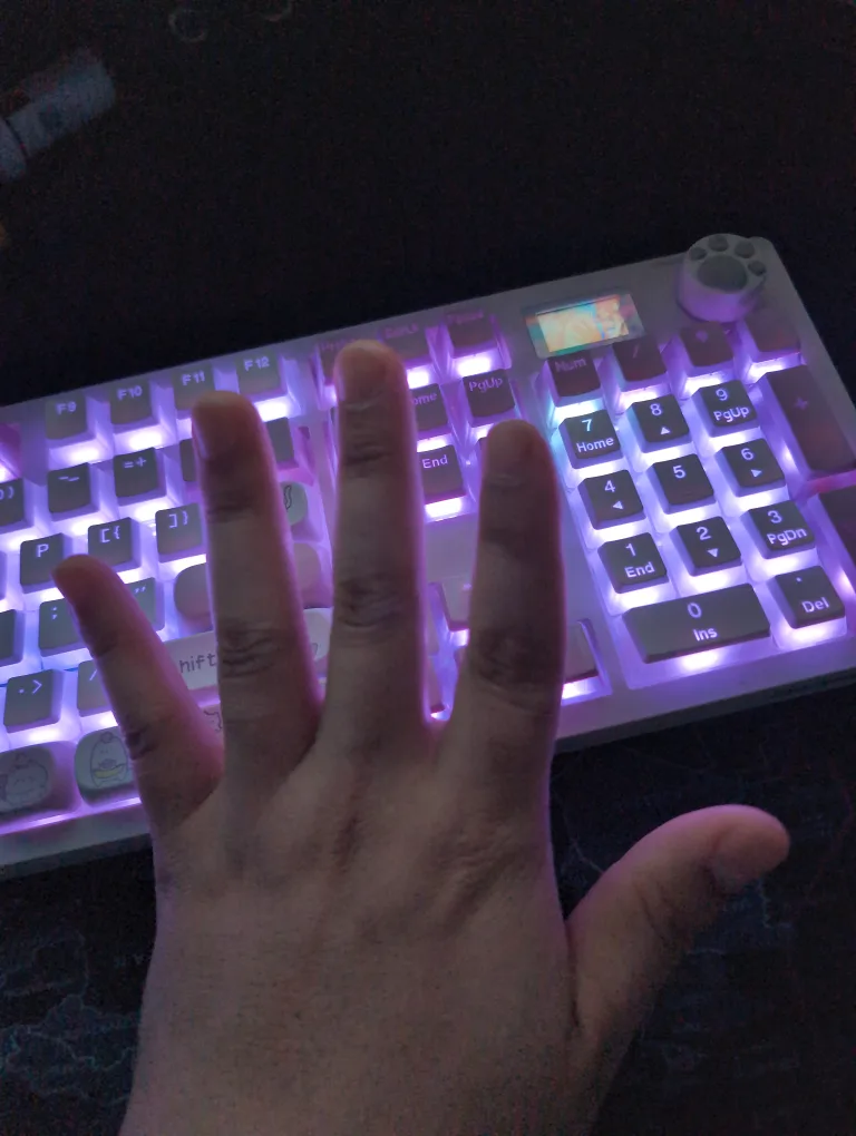 jamesthekeyboardcat profile