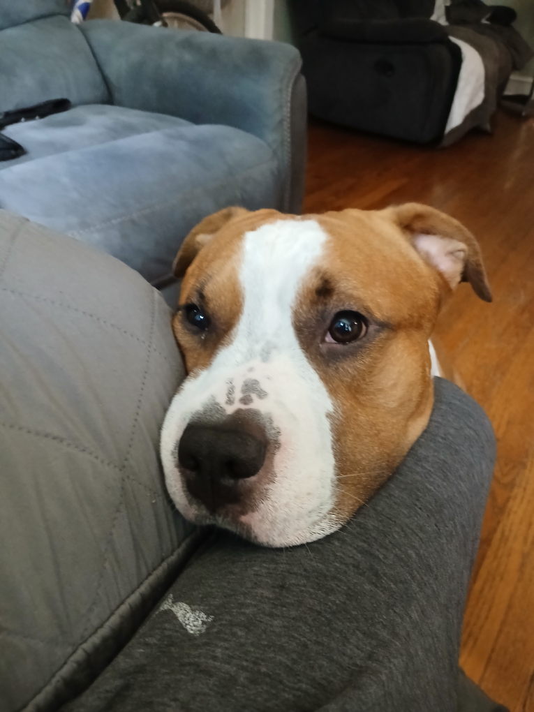 Eli profile