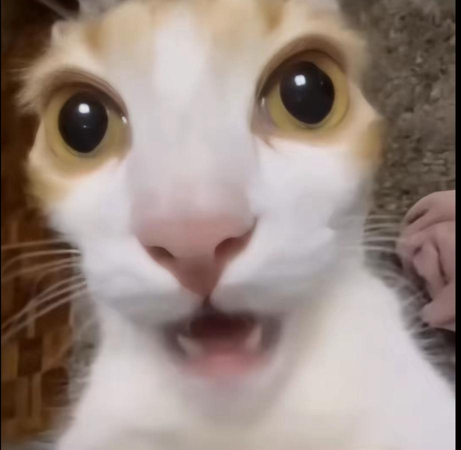 thy