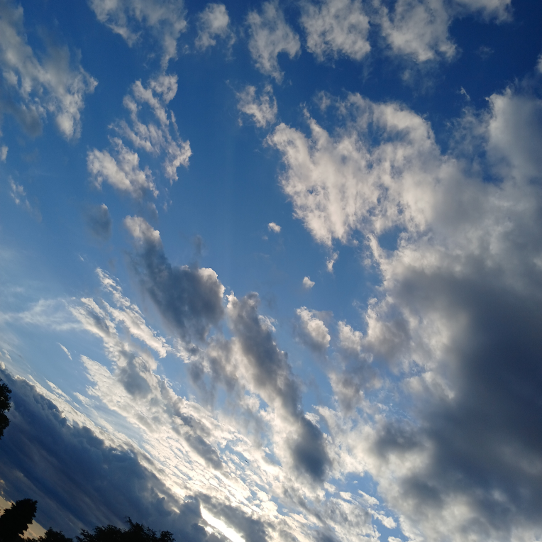 Francesca bazan profile