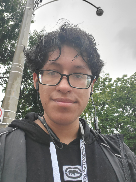 Luis profile