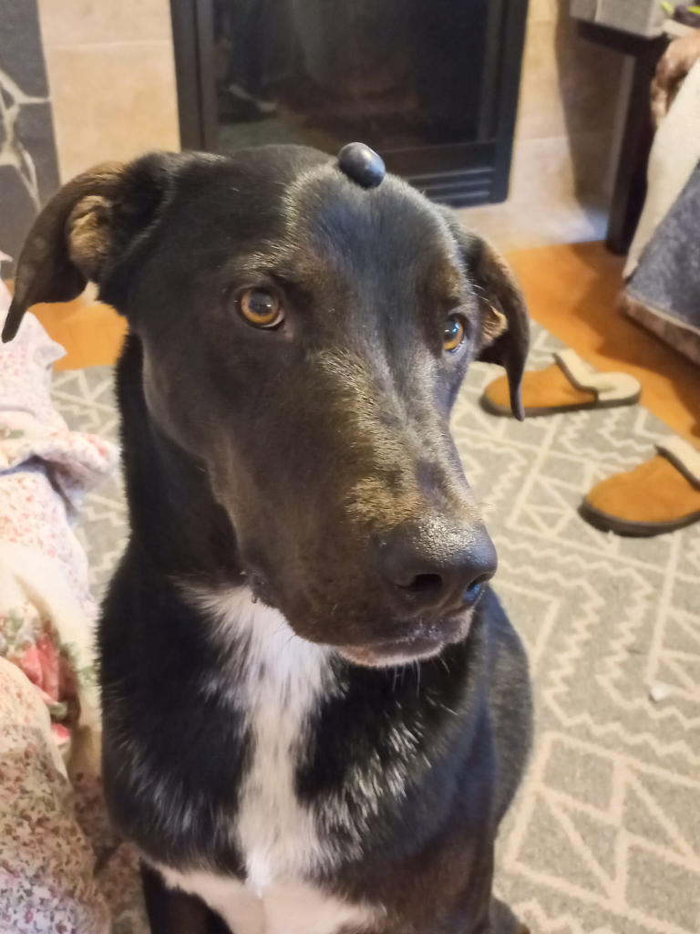 maddie profile