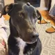 maddie profile