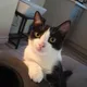 Yery profile
