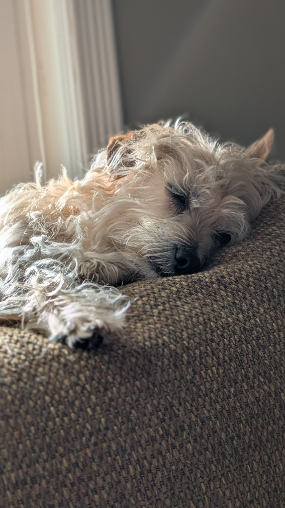 Jerome Hernandez profile