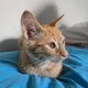 Nick profile