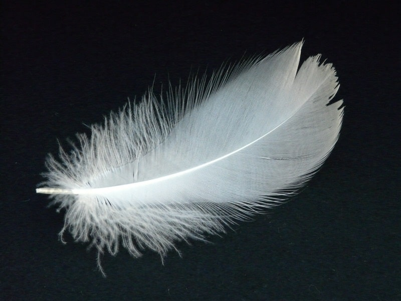 Feather profile