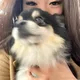 Rena profile