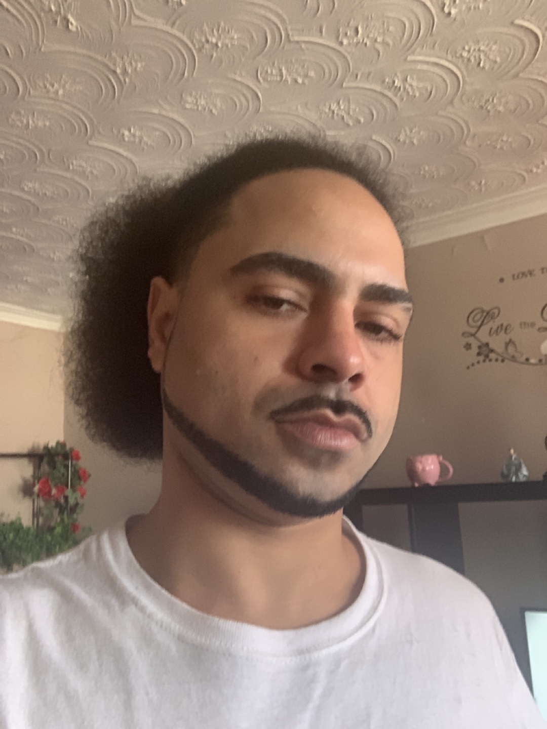 Nigel profile