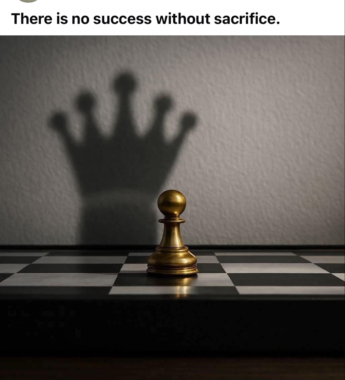 Shehbaz Saiyed profile