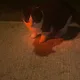 Natalie smith profile