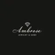 Ambrose profile