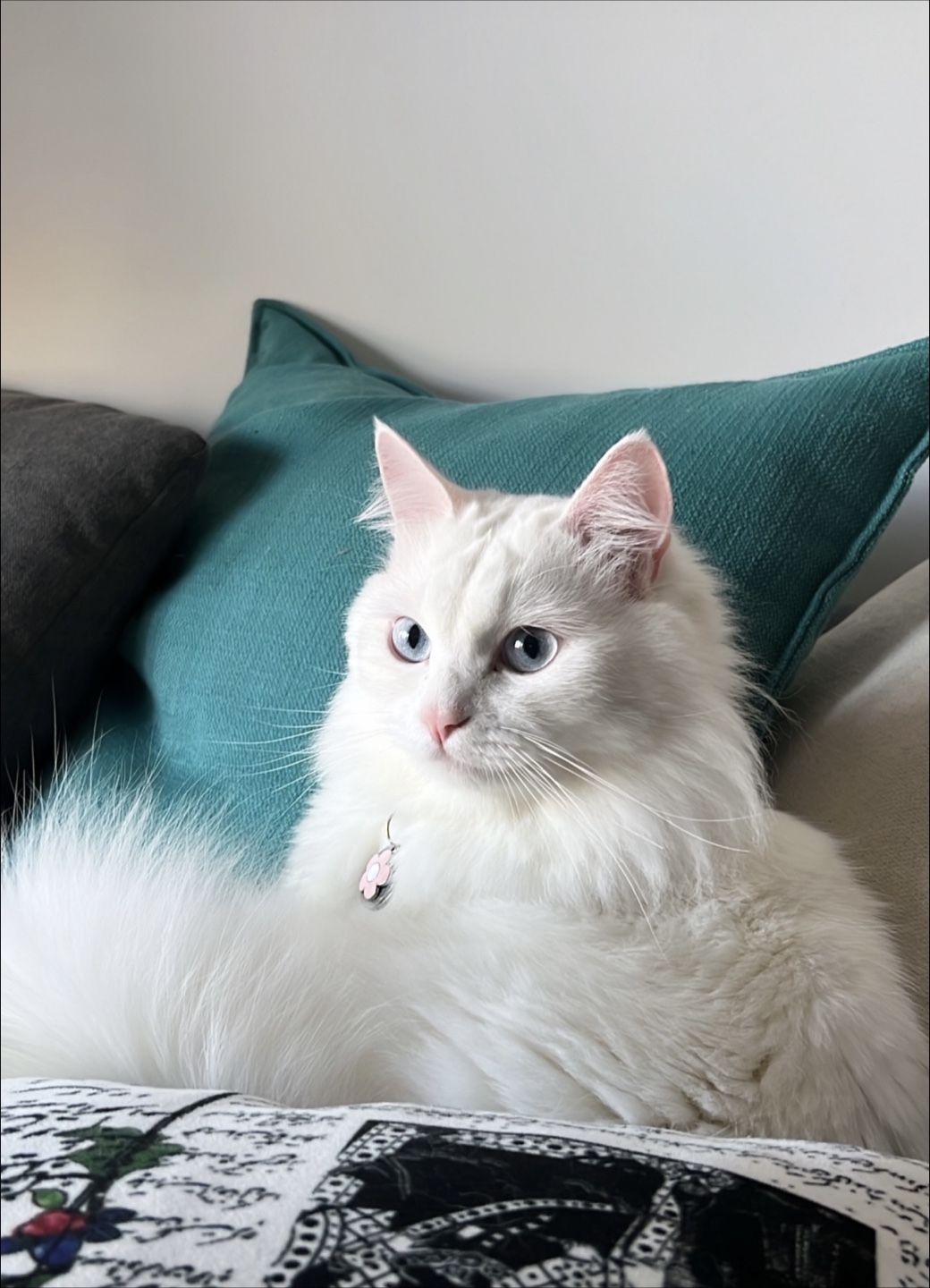 Sara