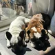 Hannah profile