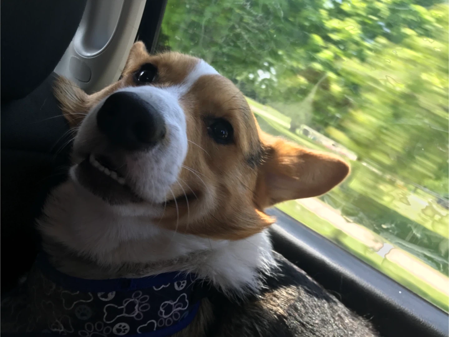 Erich profile