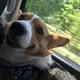 Erich profile