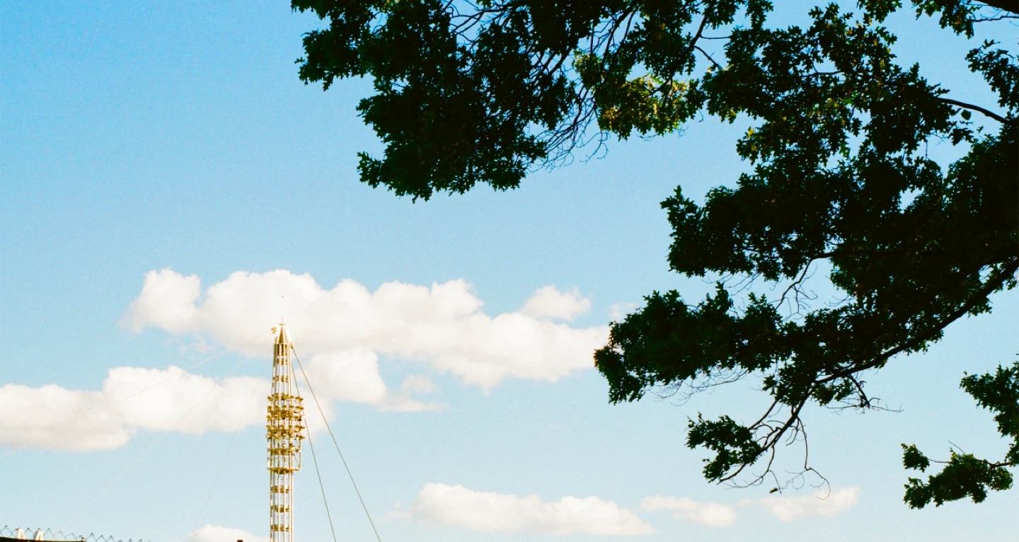 Vianni profile
