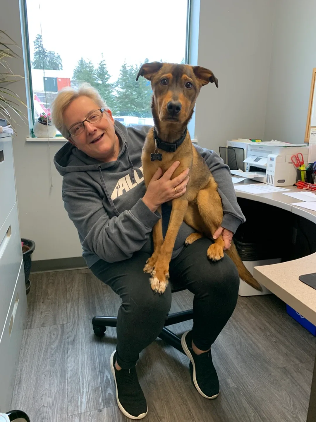 Linda Cretney profile