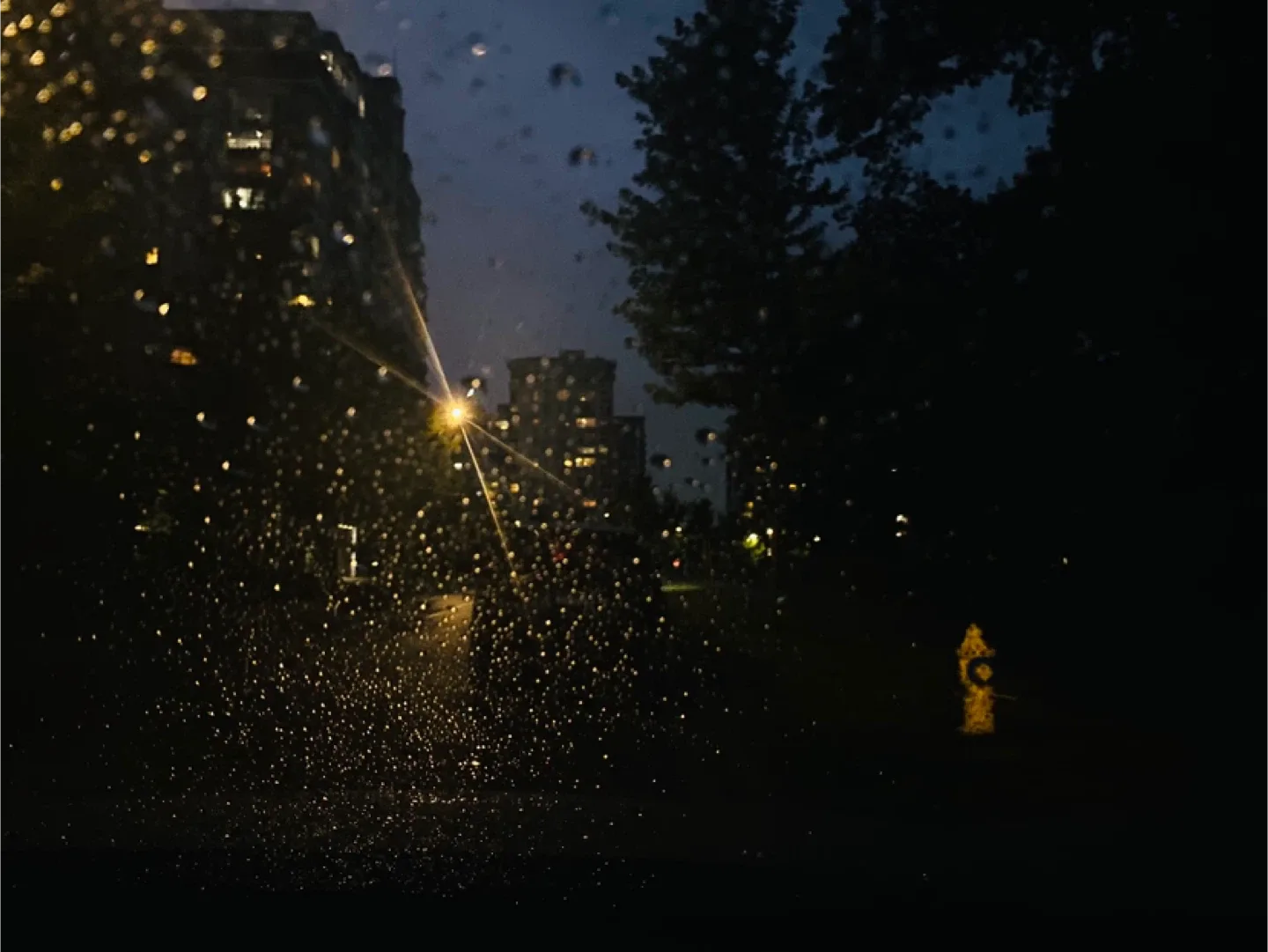 Uhbuyingamdselling profile