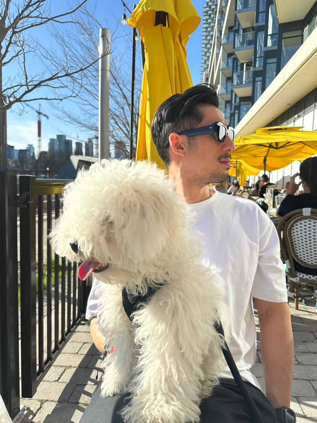 RL profile