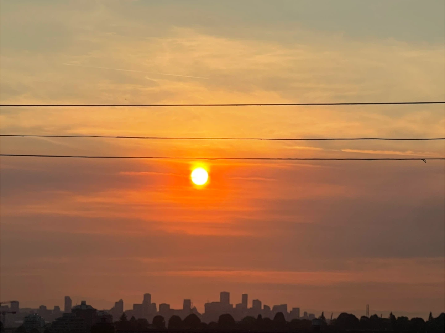 Mason Nguyen profile