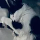 Em profile