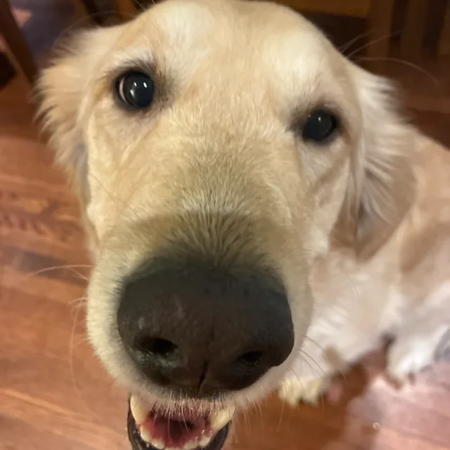 Milly