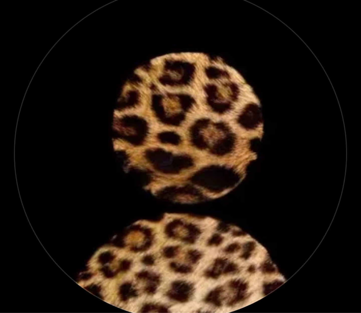 LL profile