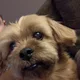 Fil profile