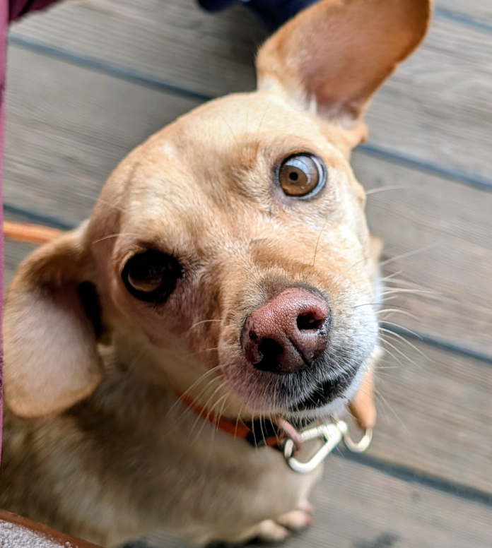 Maggie profile
