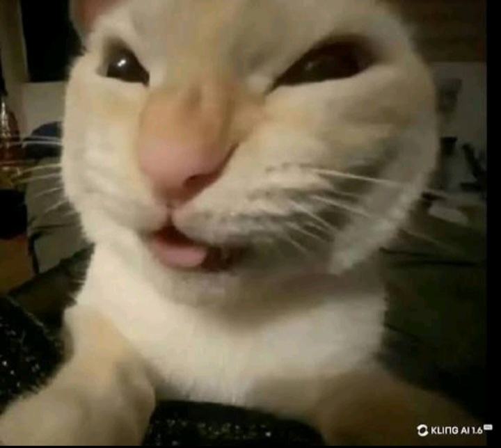 Jayden Parada profile