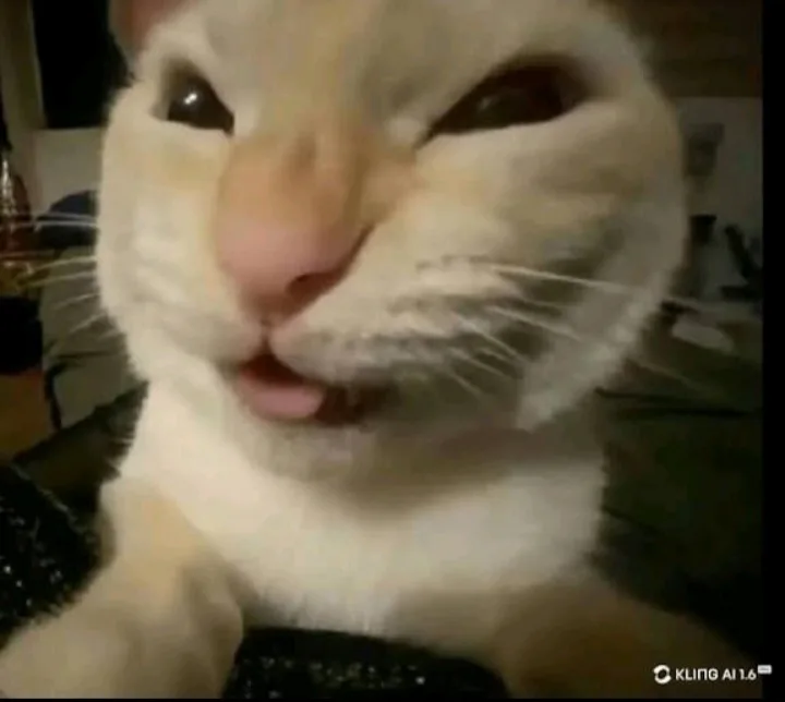 Jayden Parada profile