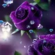 samatha profile