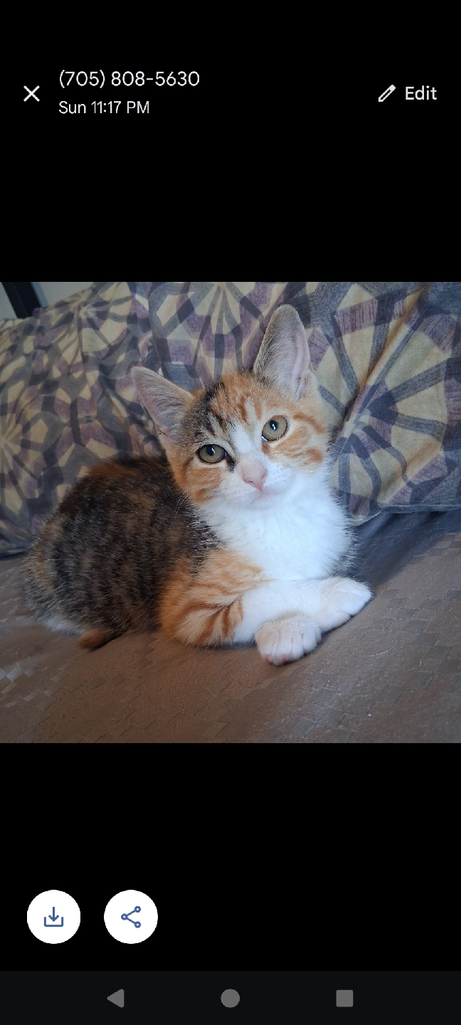 Clea profile