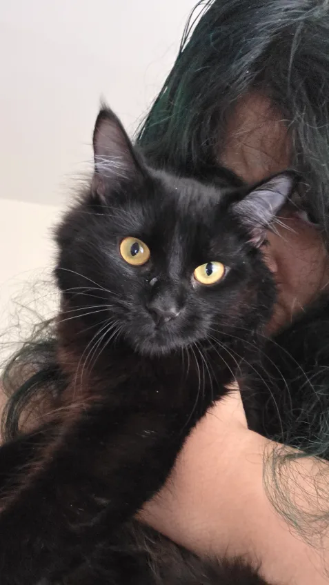 Saturn Gonzalez profile