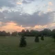 Nj profile