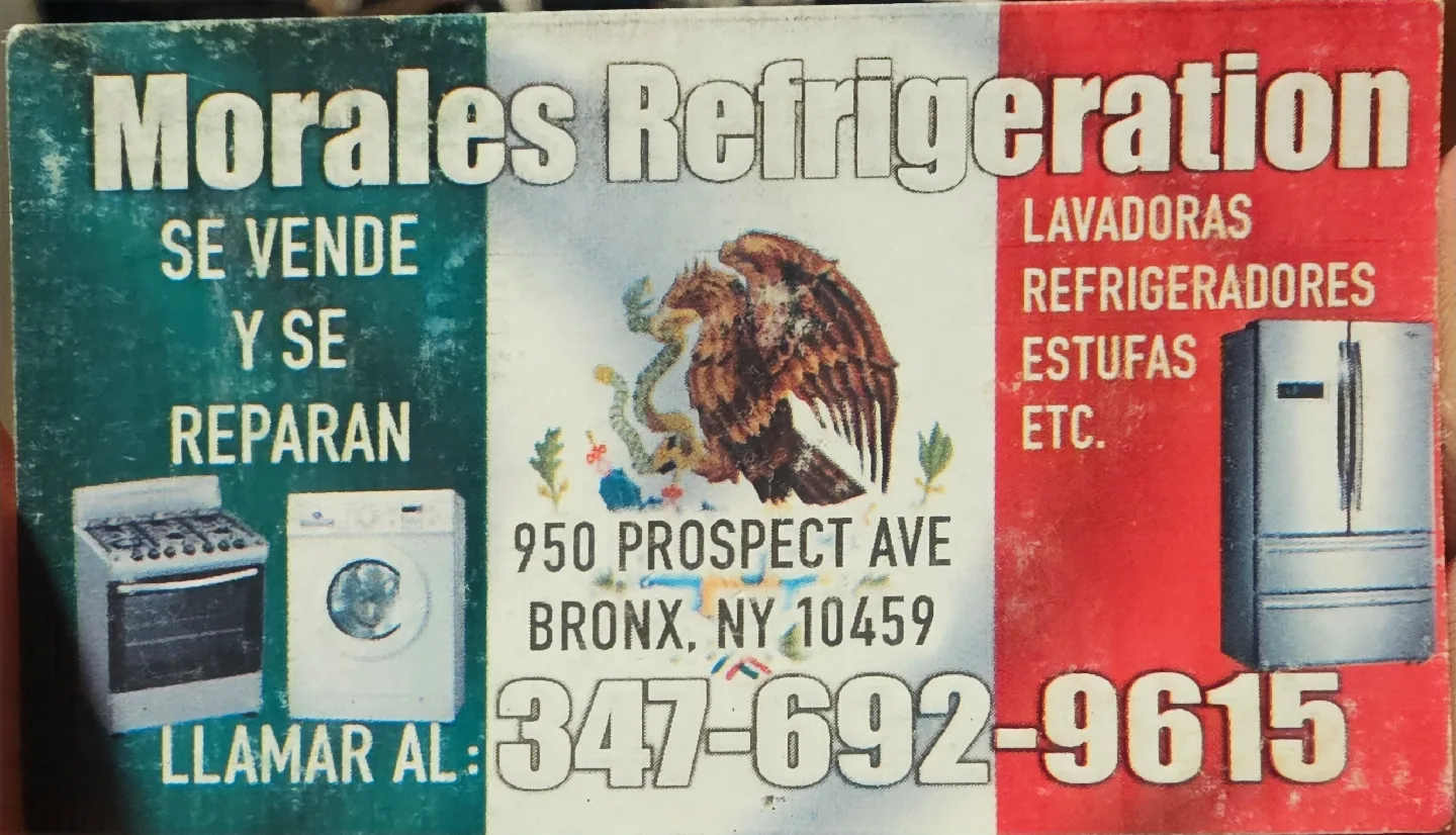 jose morales profile