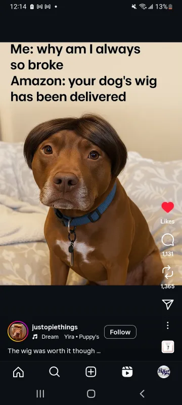 UsaThriftTrade profile