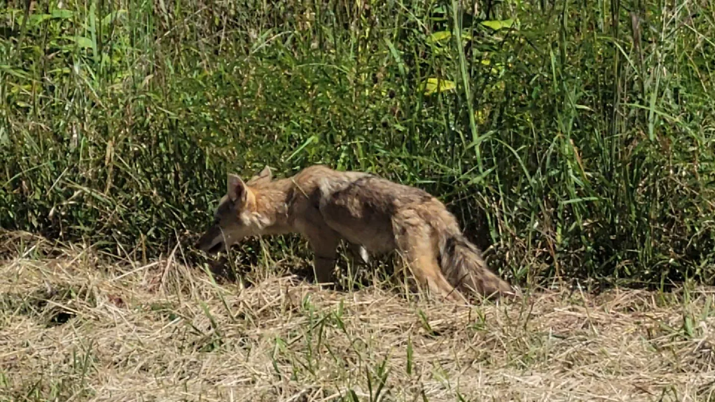 Jeff crowmen profile