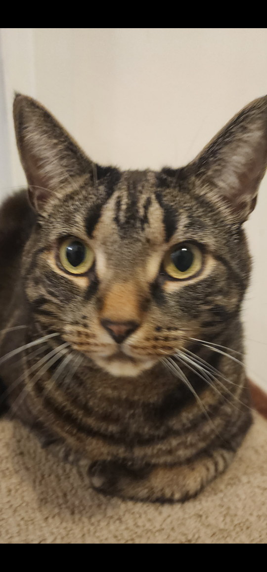 maddy profile
