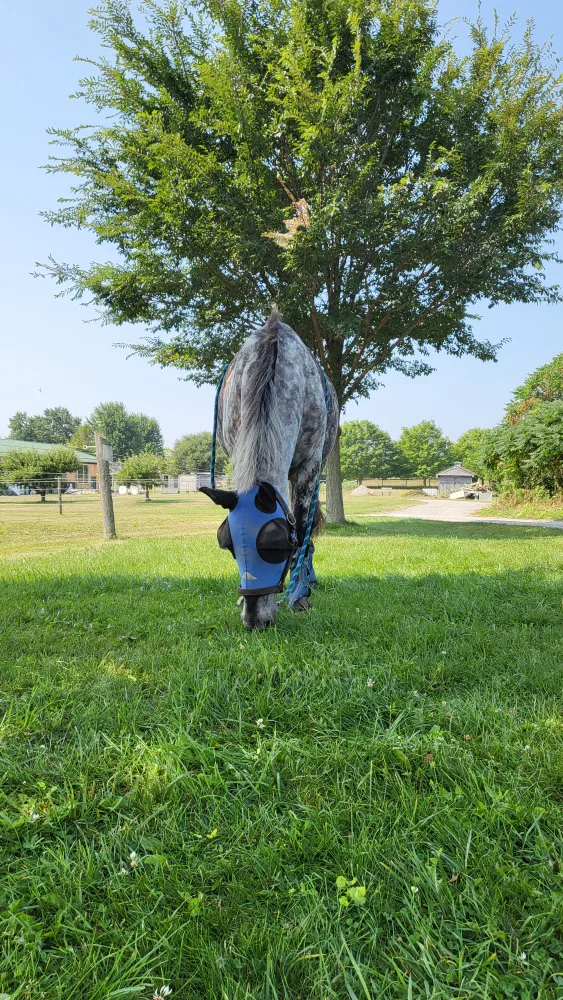 Noah Beaudet profile